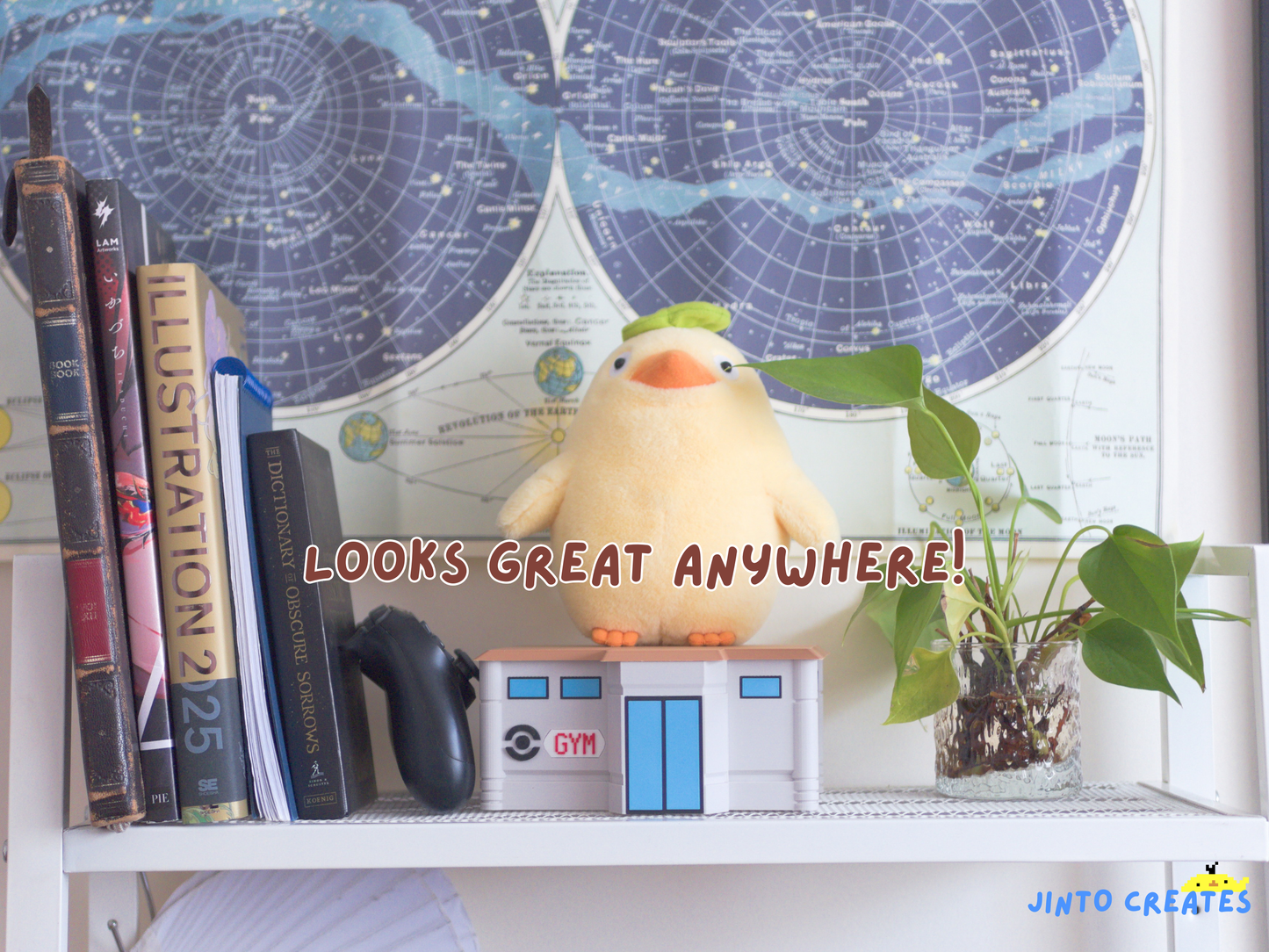 [PREORDER] PokéGym - Pokémon TCG Large Storage Box